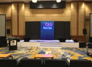 CEO INSURANCE FORUM 2019